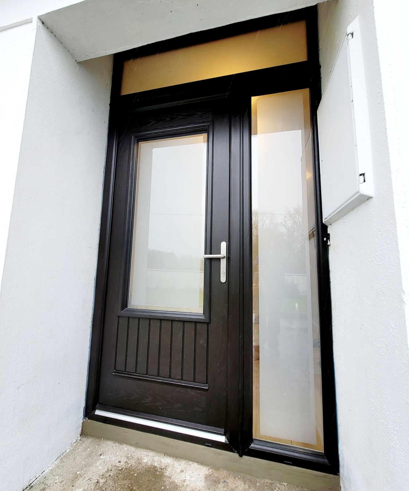 Black front door with side panel and toplight