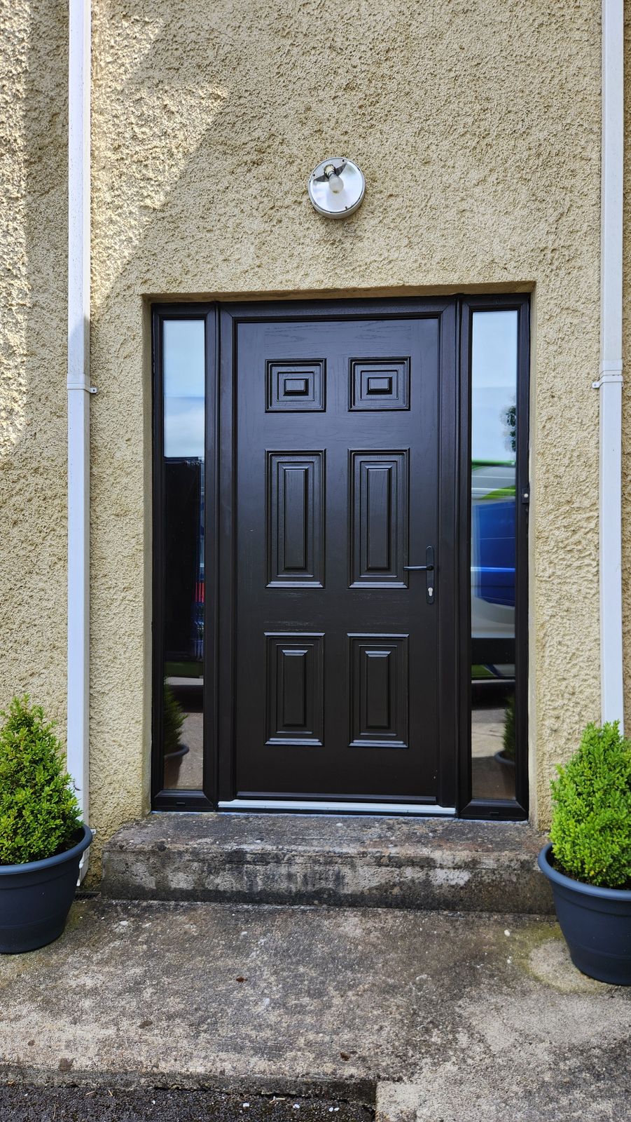 Dark woodgrain panelled door with two side panels